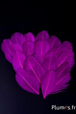 Pétales en plumes - 6-8 x 3-4 cm - aubergine